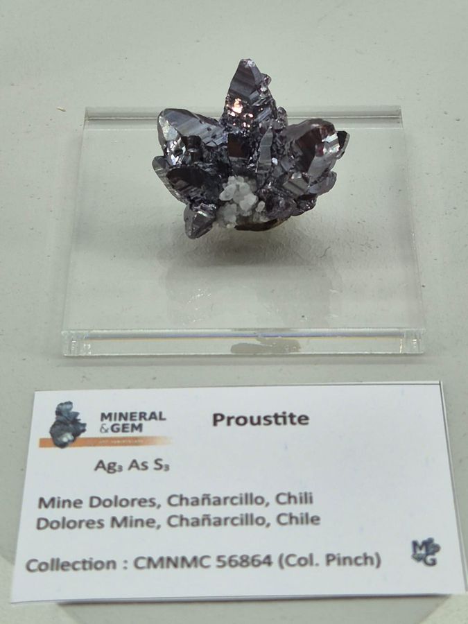 Sainte-Marie-aux-Mines 2025 - Mineral Expo (5).jpg