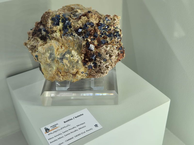 Sainte-Marie-aux-Mines 2025 - Mineral Expo (7).jpg