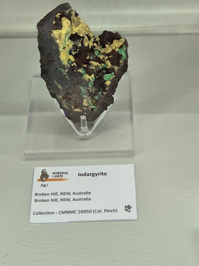 Sainte-Marie-aux-Mines 2025 - Mineral Expo (9).jpg