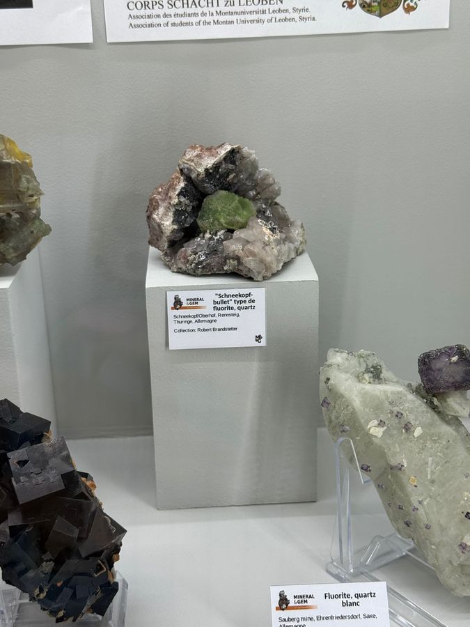 Sainte-Marie-aux-Mines 2025 - SJ (32).jpg