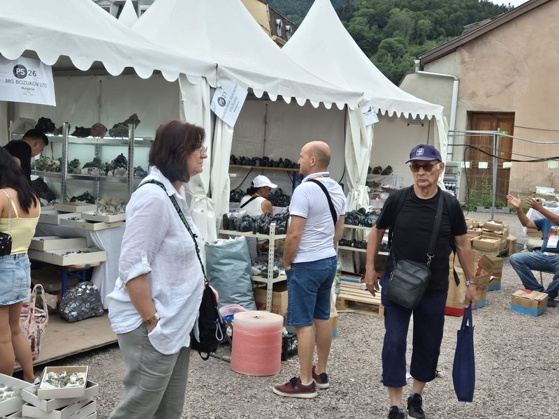 Sainte-Marie-aux-Mines 2025 - Visitors (2).jpg