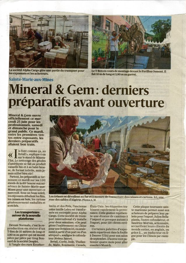 Sainte-Marie-aux-Mines-2025-media (6).jpg