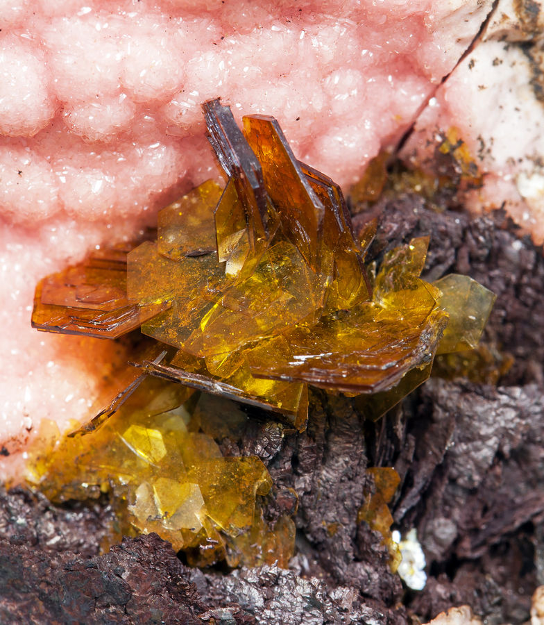 Shigaite with Rhodochrosite and Siderite - N'Chwaning I Mine_Northern Cape Province_South Africa.jpg