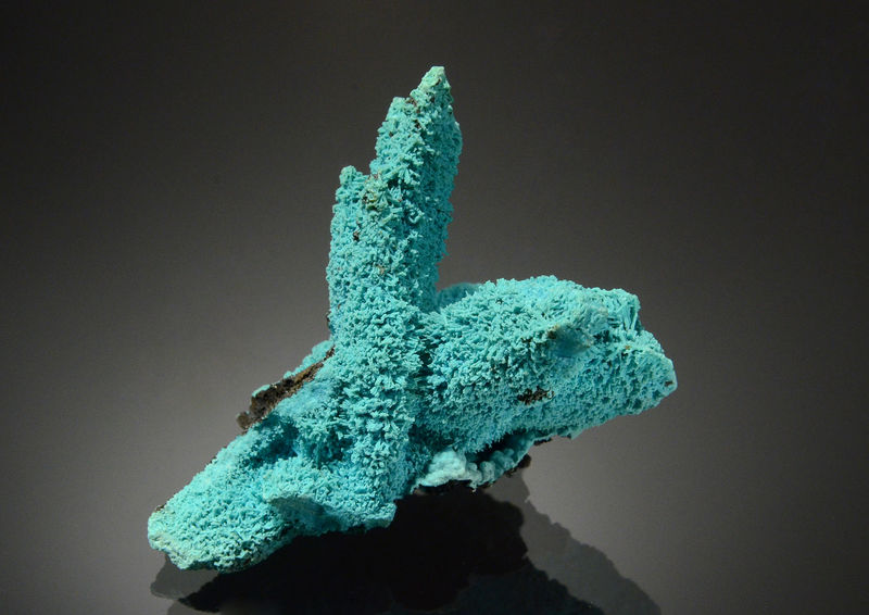 TN908 Chrysocolla ps. - Lupoto Mine, Kakumba, KipushI Territory, Haut-Katanga, DR Congo.jpg