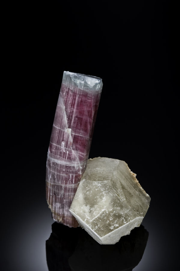 Tourmaline and Quartz from the Tourmaline Queen Mine 8 cm.jpg