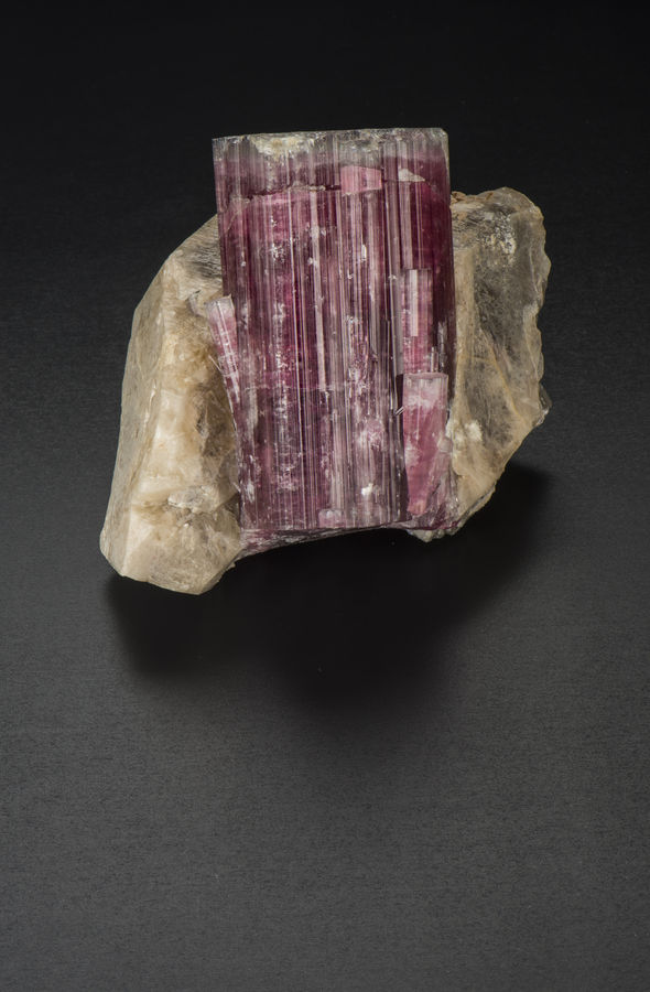 Tourmaline on Quartz_Tourmaline Queen Mine 17 cm.jpg