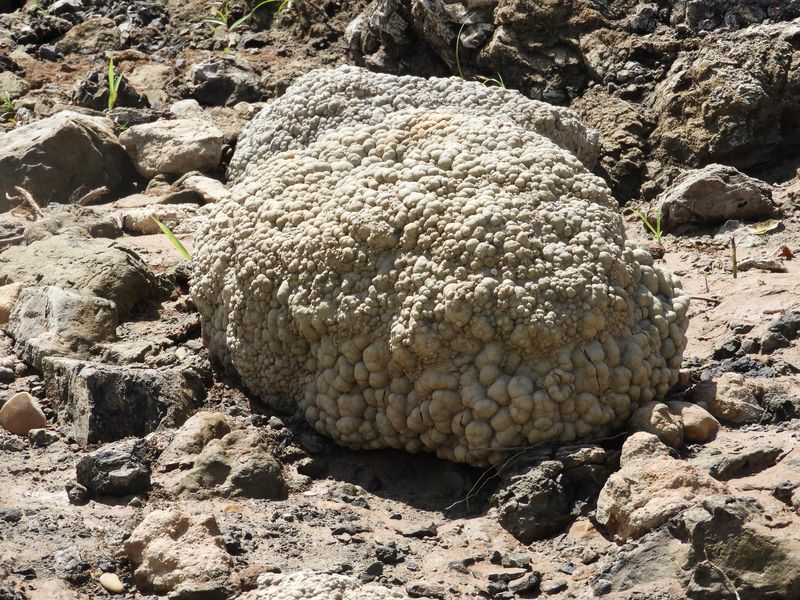 Weird Rock.jpg