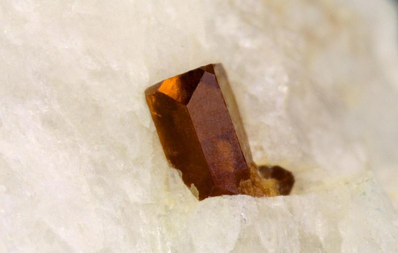 Xenotim Königsalm BB 3 mm IMG_1856.JPG