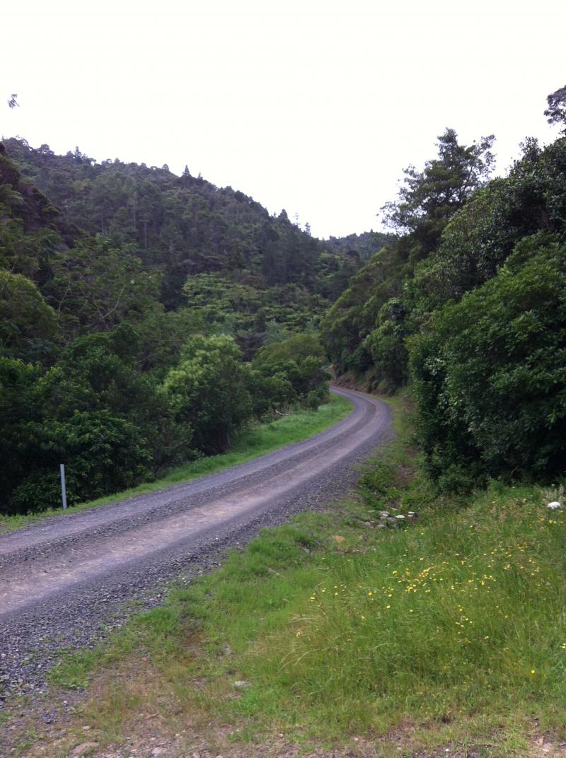 Tinkers Gully 3 Tararu River.jpg