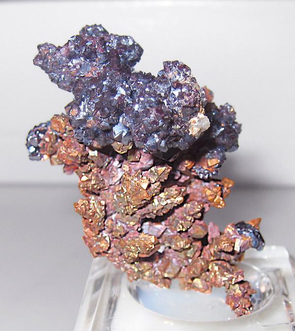 Tucson 2009 - Cuprite on Copper Russia.jpg