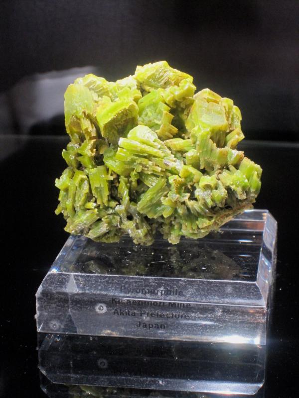 Tucson 2010 - Pyromorphite Kisaenmori Japan.jpg