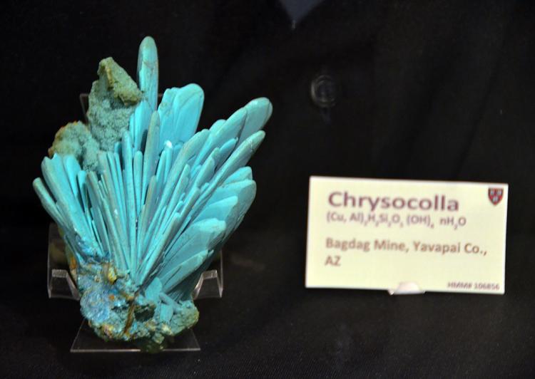 Tucson 2012 - Chrysocolla_Arizona_USA.jpg