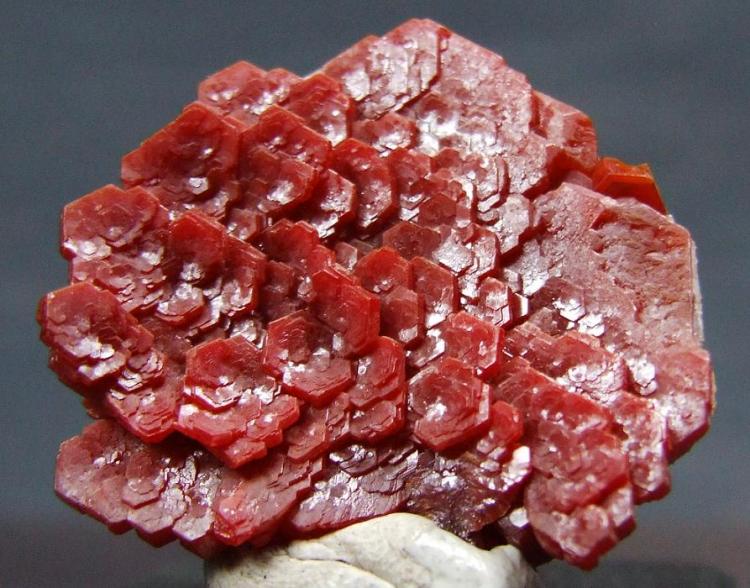 vanadinite rosette.JPG