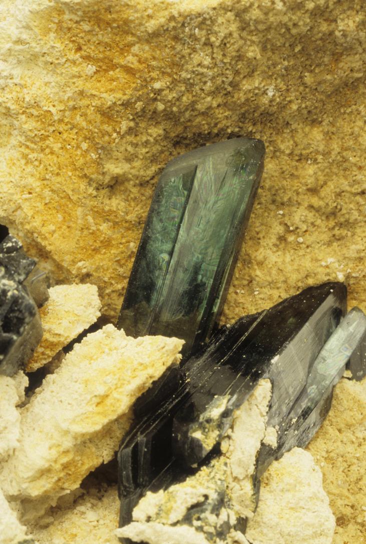 Vivianite - Clear Springs Mine_ Bartow_Florida_USA.jpg