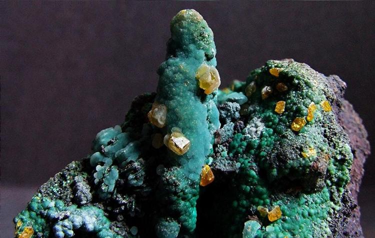 Whim Creek Wulfenite on Malachite (2).jpg