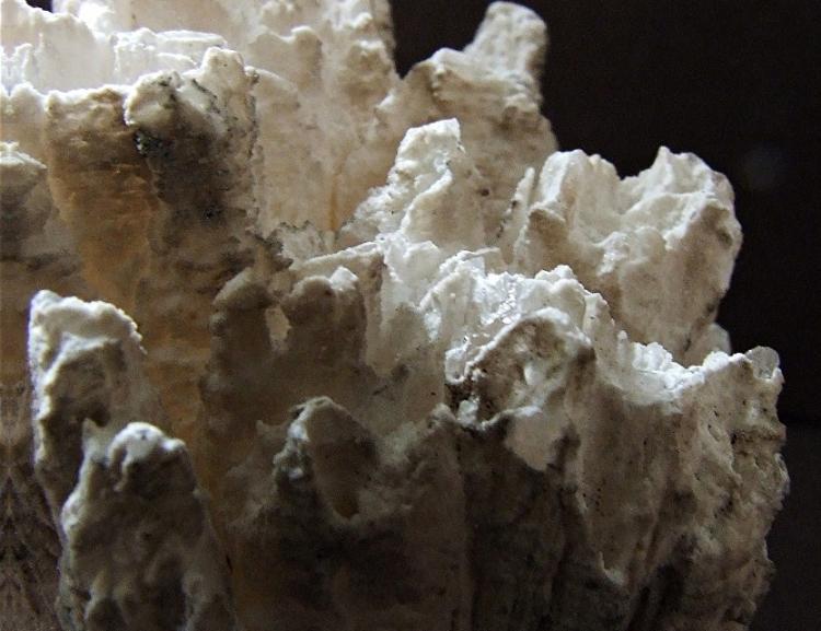 witherite close up.jpg