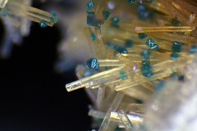 0047-paratacamite-flinders-2.5mm-2-edited.jpg