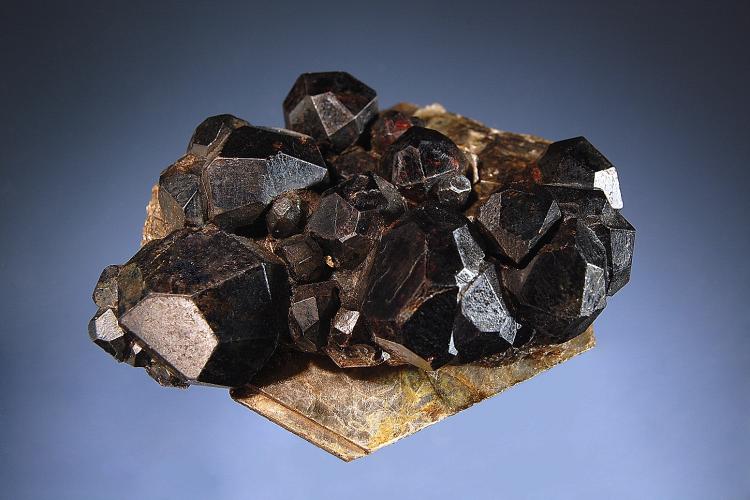 0351 Almandine on muscovite.jpg