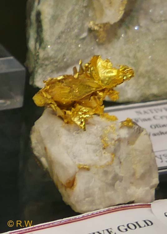 042-Gold_20243_2_R.jpg
