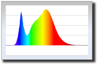 04-Spot_2700°K.jpg