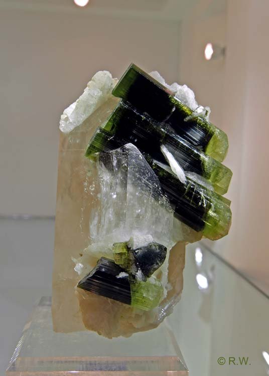 052-Tourmaline_20254_R.jpg