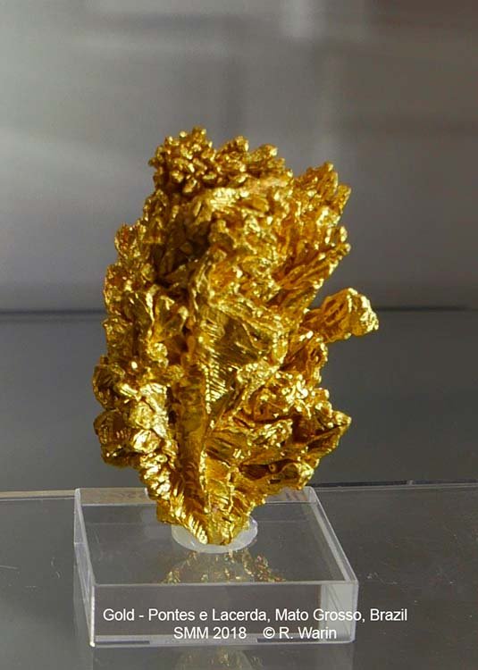 068-Gold_20559_R.jpg
