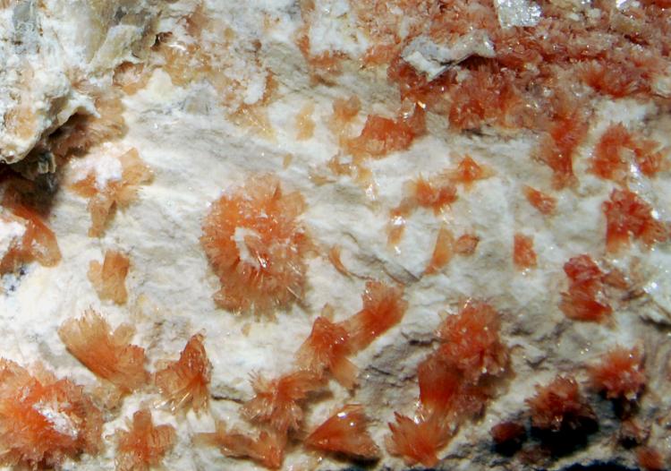 0814 Montgomeryite closeup.jpg