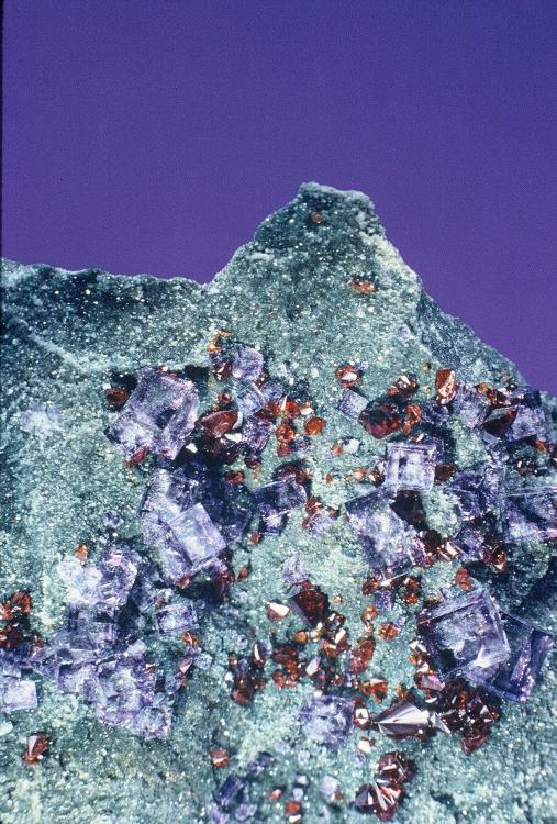 116OHfluorite-Bluffton'89-w.sphalerite-2in.fov.jpg.jpg