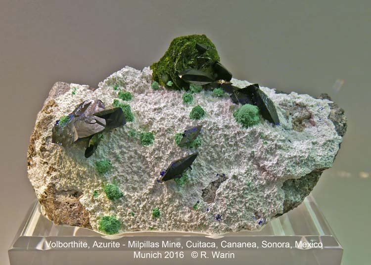 117-Volborthite-azurite_20884_R.jpg