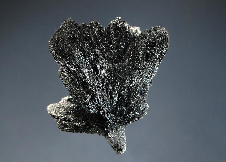 1398 Berthierite (2).jpg