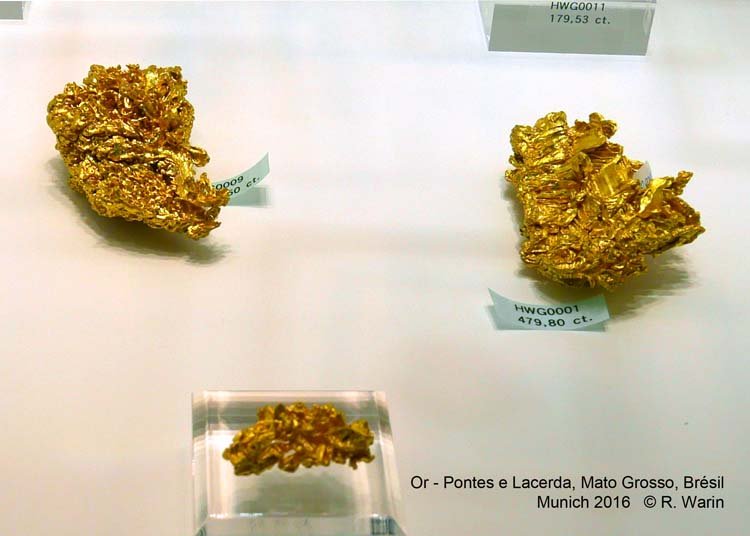 141-Gold_20801_R.jpg