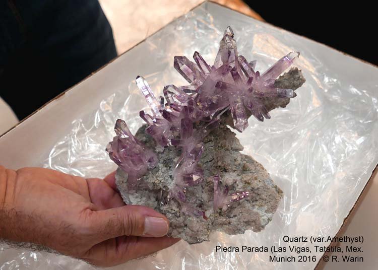 145-Amethyste_20793_R.jpg