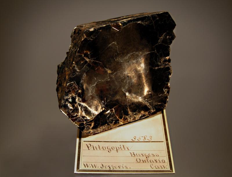 1474 Phlogopite.jpg