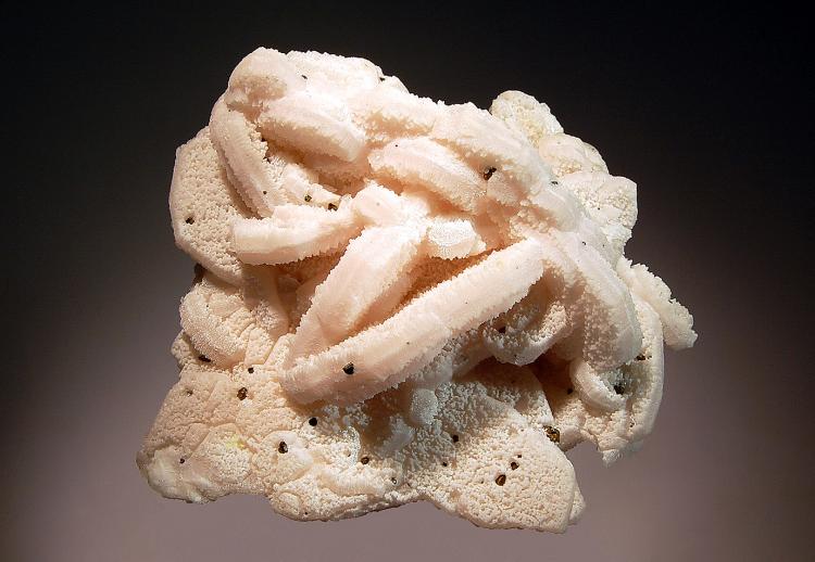 1565 Calcite.jpg