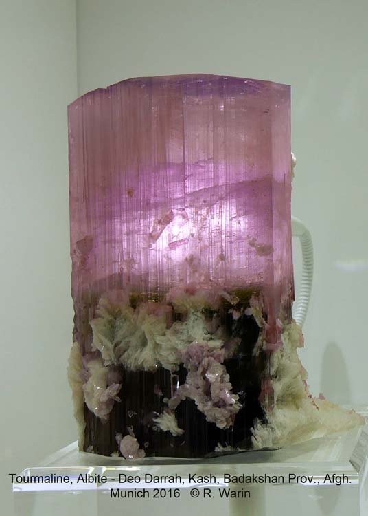 159-Tourmaline_20871_R.jpg