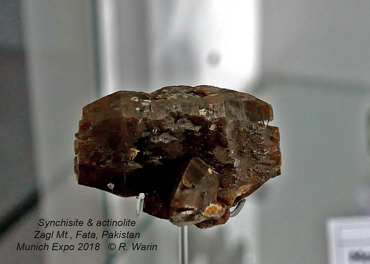 166-Synchisite_30023_R.jpg