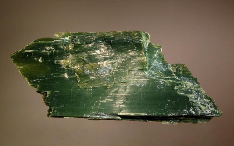 1806 Antigorite var. picrolite.jpg