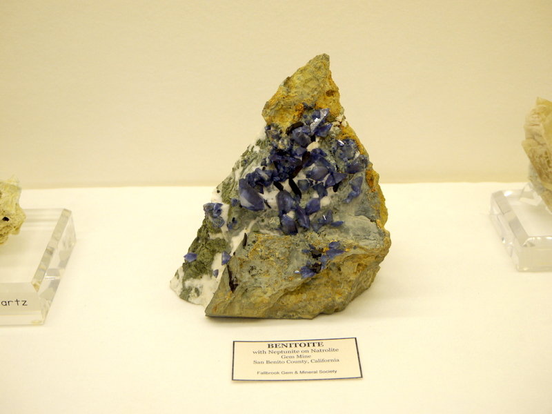 1-P1070265.JPG