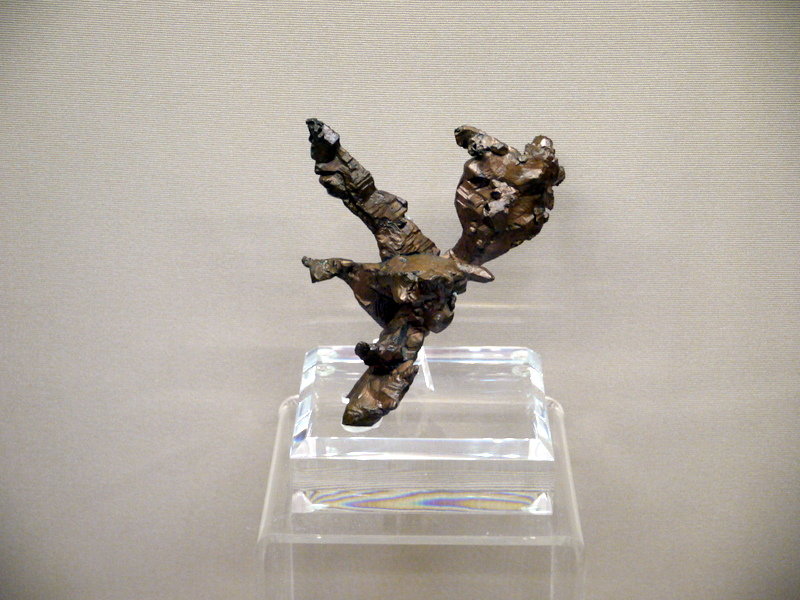 1-P1070299.JPG