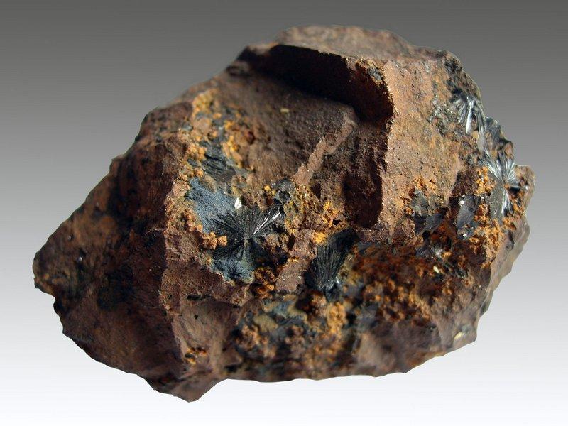 1-Vivianite Owles 1.JPG