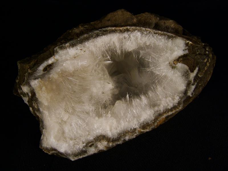 2009_0118Recent-specimens0023.JPG