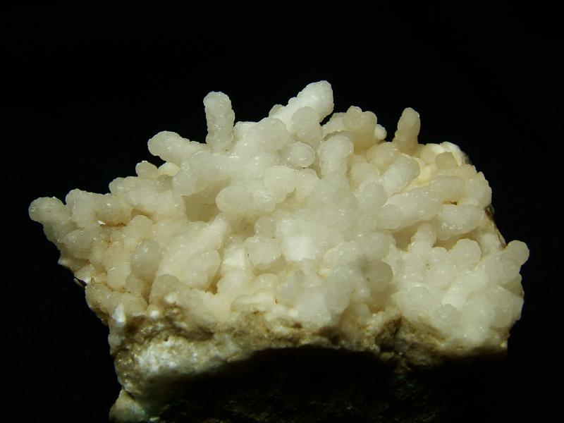 2009_0418Recent-specimens0015.JPG