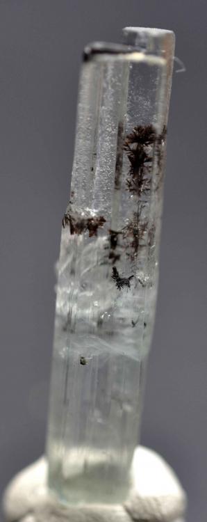 201201005水草海蓝.jpg