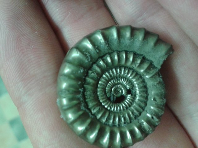20140531_200721.jpg
