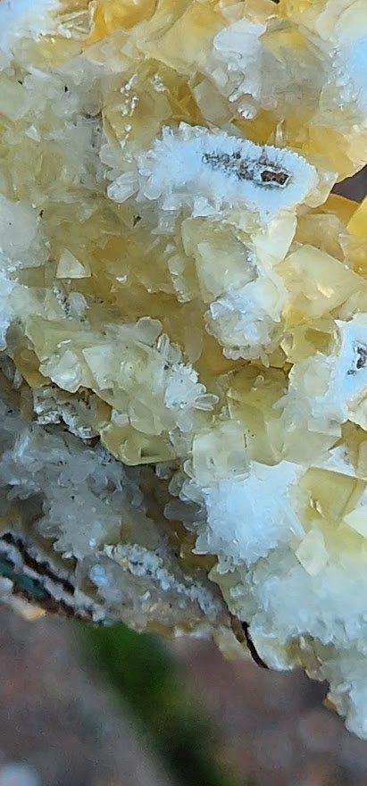 20220808_163659.jpg