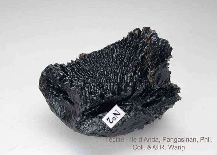 204-Tectite_Anda_3_R.jpg