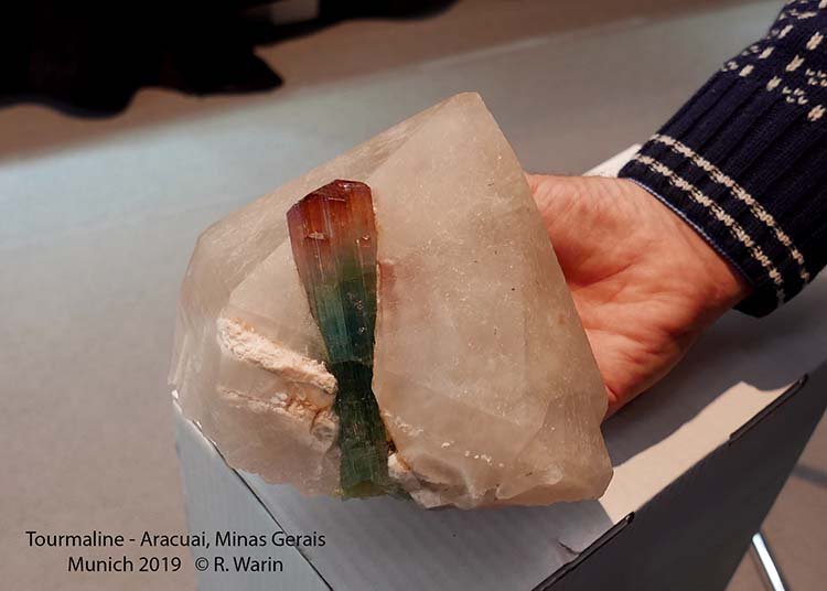 21-Tourmaline_40657_R.jpg