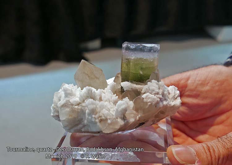 22-Tourmaline_40659-b_R.jpg