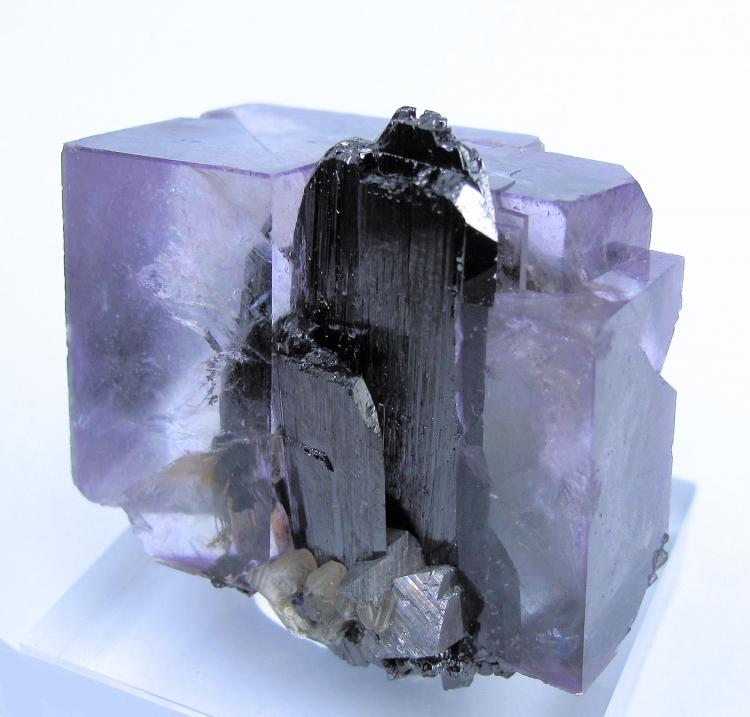 3181M-fluorite3.jpg