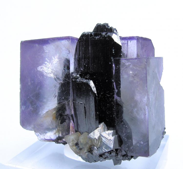 3181M-fluorite4.jpg